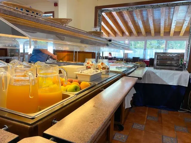  Somriu Hotel Vall Ski - picture  : Toilet,Buffet breakfast,Property 