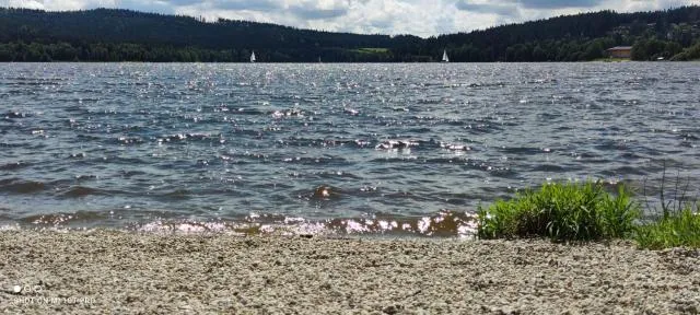  U Macháčků - Lipno - picture  : Beach,Beach,Property 