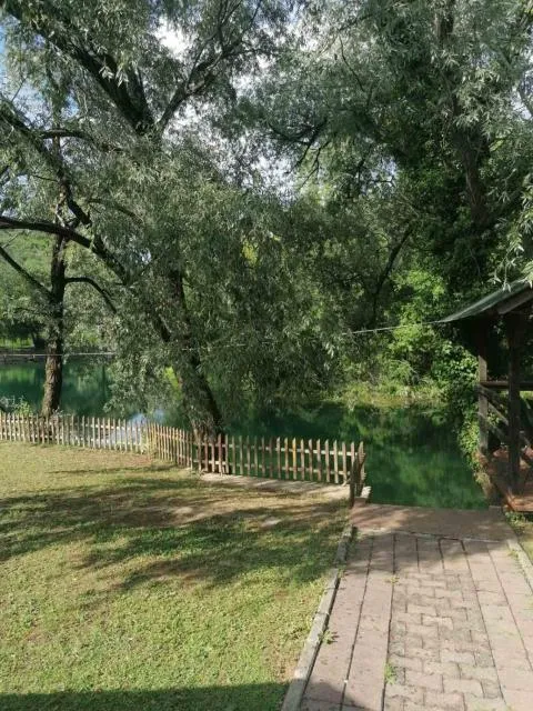  Kuca Delić - picture  : Garden 