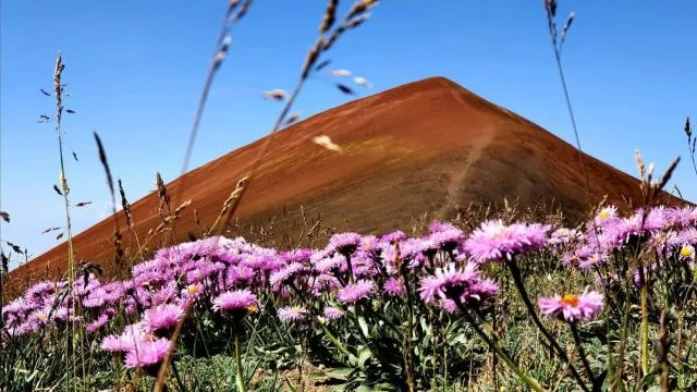  Garni Nature Villa - picture  : Shower 