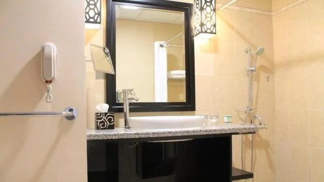  Holiday Inn Dubai Al Barsha, an IHG Hotel - picture  : Bathroom,Photo of the whole room,Room 