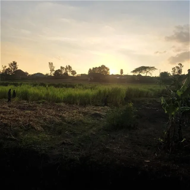  Maison de Passage - Isaro Passage House - Vacation Rental In Kigali - photo  : Paysage naturel 