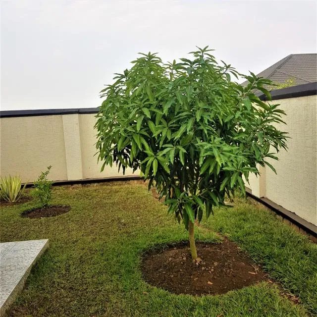  Maison de Passage - Isaro Passage House - Vacation Rental In Kigali - photo  : Jardin,Immeuble immobilier 