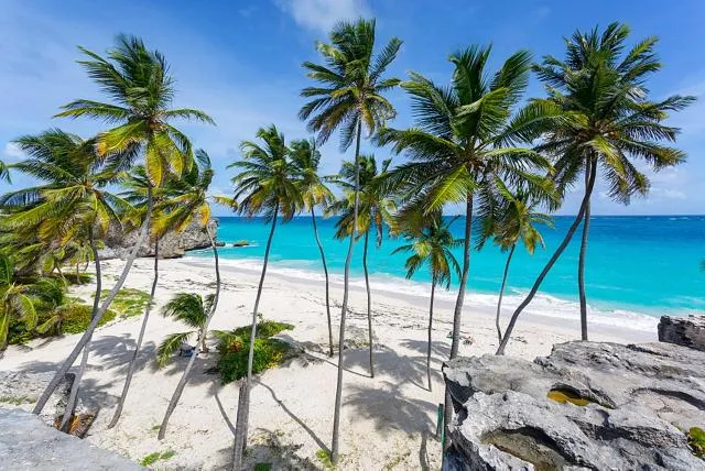  The Gem is located a few minutes walk to the gorgeous Bottom Bay Beach - picture  : Beach,Beach,Property 