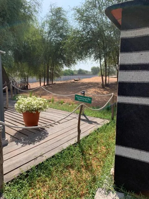  RAK Glamping - picture  : Garden,Garden,Garden view,Property 