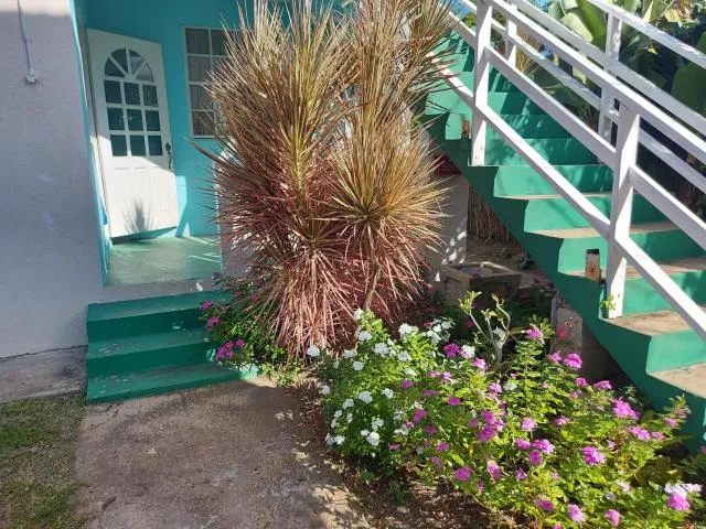  Aquarius Apartments - picture  : Property building,Garden,Garden view,Property 