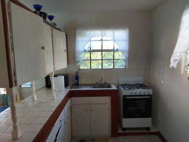  Aquarius Apartments - picture  : Kitchen/kitchenette,Kitchen or kitchenette,minibar,pet friendly,stove,Property 