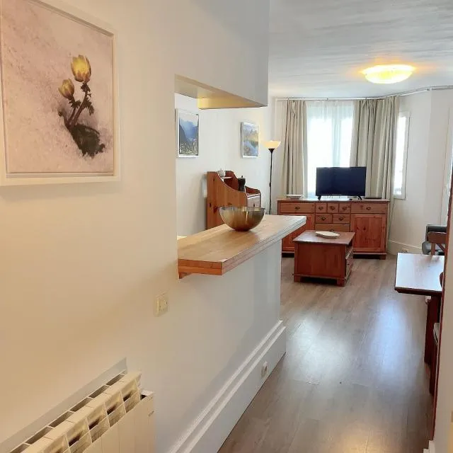  CONFORTSKI CANIGOU - picture  : Kitchen/kitchenette,Living room,Property 