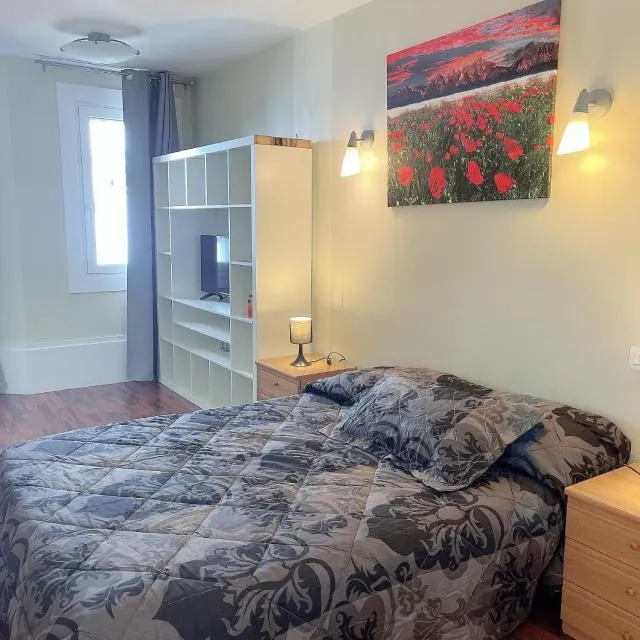  CONFORTSKI CANIGOU - picture  : Bed,Photo of the whole room,Room 