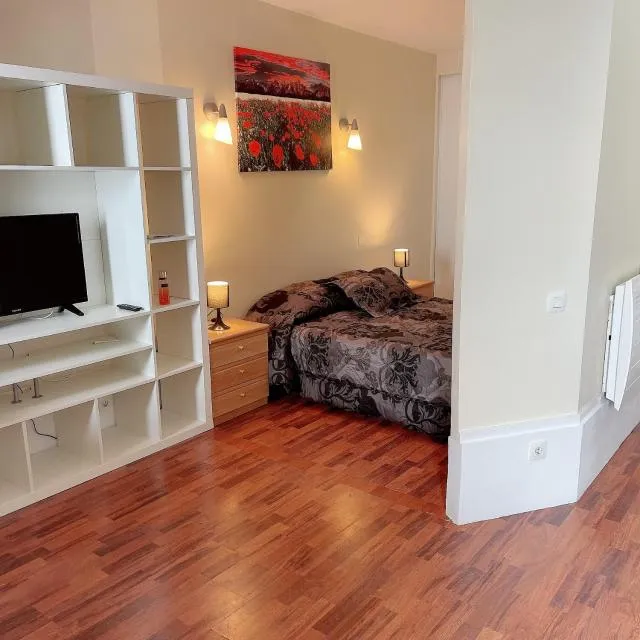  CONFORTSKI CANIGOU - picture  : TV/entertainment centre,Bed,Living room,Property 