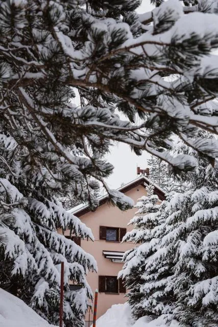  Planinska kuća Munika - cover picture 