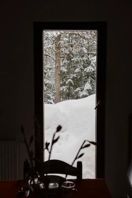  Planinska kuća Munika - picture  : Shower,Living room,Property 