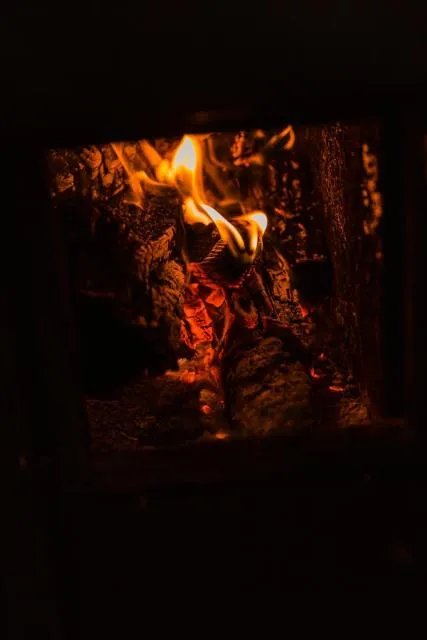  Planinska kuća Munika - picture  : Living room,Property 