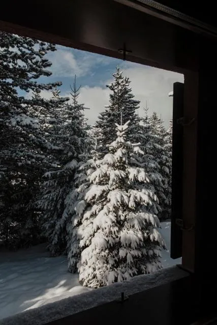  Planinska kuća Munika - picture  : Shower,View (from property/room),Garden view,Property 