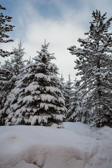  Planinska kuća Munika - picture  : Shower 