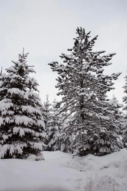  Planinska kuća Munika - picture  : Shower,Property building 
