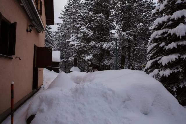  Planinska kuća Munika - picture  : Shower,Property building 