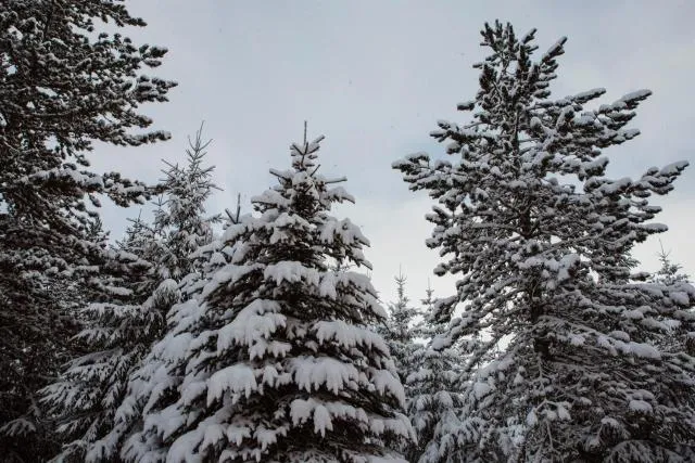  Planinska kuća Munika - picture  : Shower 