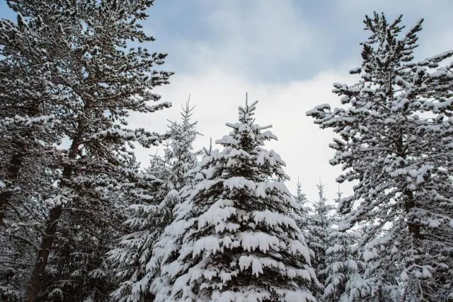  Planinska kuća Munika - picture  : Shower 
