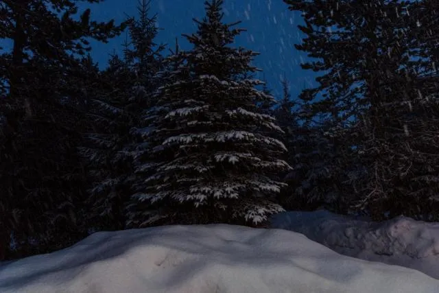  Planinska kuća Munika - picture  : Shower 