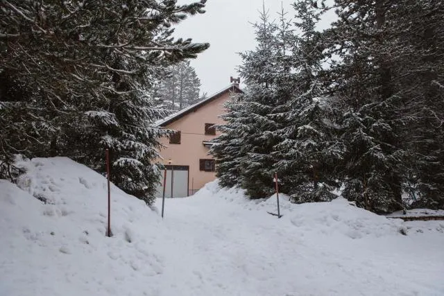  Planinska kuća Munika - picture  : Shower,Property building 