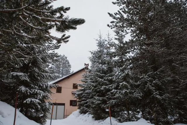  Planinska kuća Munika - picture  : Shower,Property building 