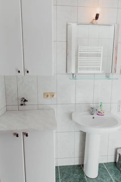  Planinska kuća Munika - picture  : Bathroom 