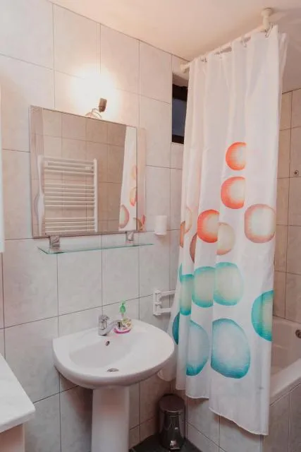  Planinska kuća Munika - picture  : Bathroom 