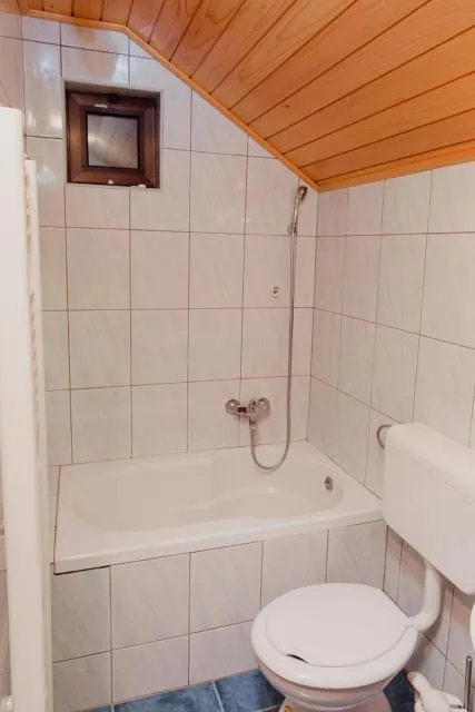  Planinska kuća Munika - picture  : Bathroom 