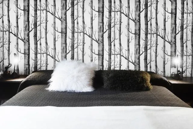  Apartaments Sant Bernat - photo  : Douche,Lit,Chambre à coucher,Propriété 