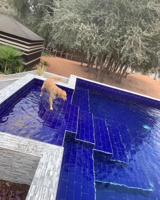  RAK Glamping - picture  : Swimming pool,Pool view,Pool view,Swimming pool,Property 