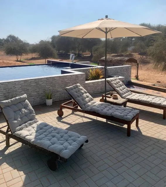  RAK Glamping - picture  : Seating area,Pool view,Swimming pool,sunbed,Property 