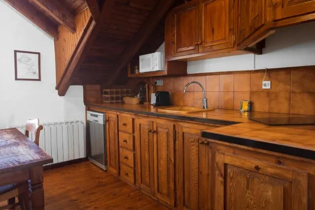  La Pleta Del Tarter Apartments - picture  : Kitchen/kitchenette,Kitchen or kitchenette,Property 