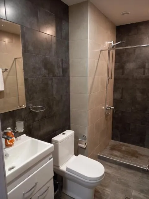  Tsaghkadzor , Kechi House , Mont Blanc apartments - picture  : Shower,Toilet,Bathroom,Property 