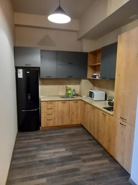  Tsaghkadzor , Kechi House , Mont Blanc apartments - picture  : Kitchen/kitchenette,Kitchen or kitchenette,Property 