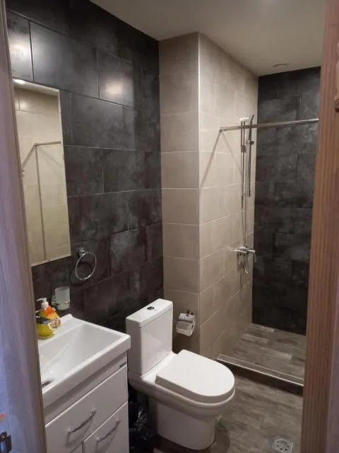  Tsaghkadzor , Kechi House , Mont Blanc apartments - picture  : Shower,Toilet,Bathroom,Property 