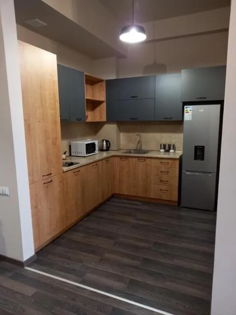  Tsaghkadzor , Kechi House , Mont Blanc apartments - picture  : Kitchen/kitchenette,Kitchen or kitchenette,kitchen,Property 