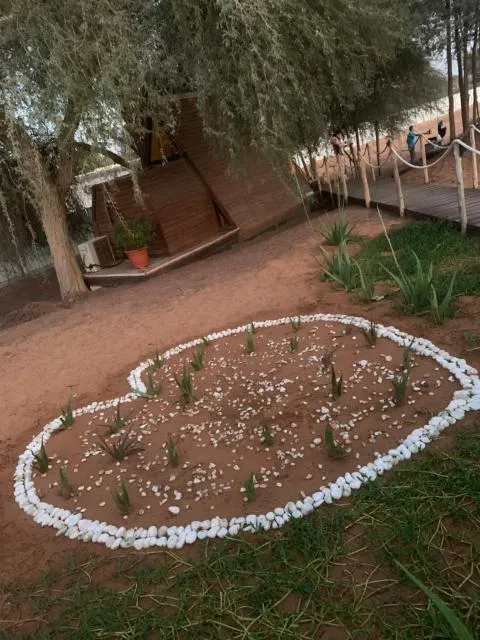  RAK Glamping - picture  : Garden,Garden view,Property 