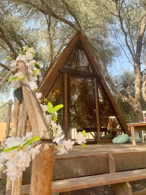  RAK Glamping - picture  : Patio,Property 