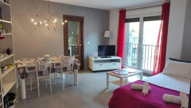  SUITEDREAMS - Feixa 41 - picture  : Living room,Dining area,Property 