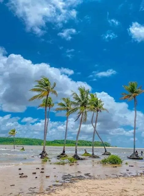  Pousada Asa Branca - photo  : Plage 