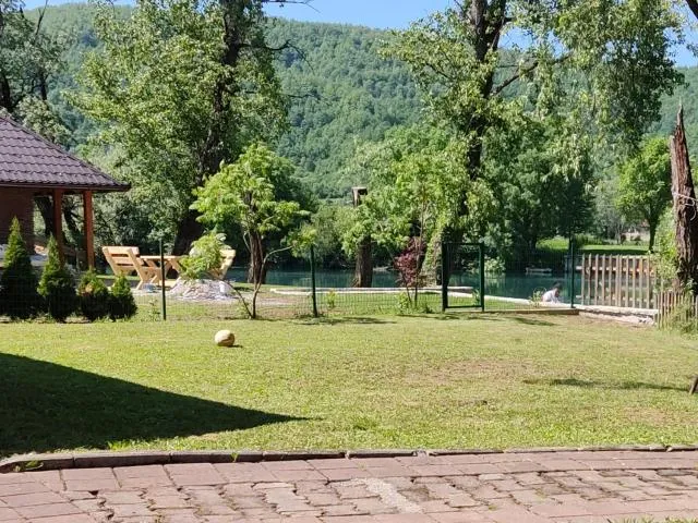  Kuca Delić - picture  : Garden 