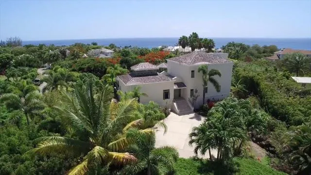  Sweet Dream Villa with Private Pool in Sugar Hill! - picture  : Bird's eye view 