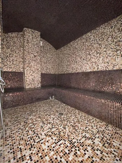  Aurora Resort Tsaghkadzor - picture  : Spa/wellness,Steam room,Property 