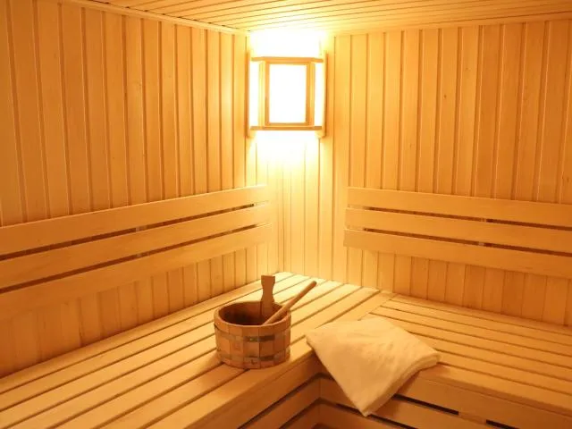  Aurora Resort Tsaghkadzor - picture  : Sauna,Property 