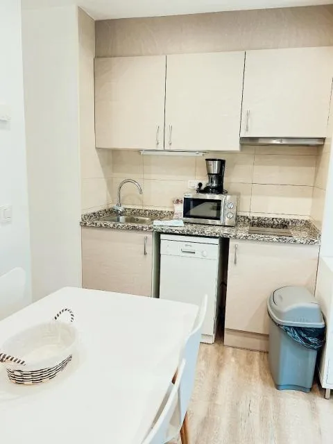  STUDIO LOFT SKI 53 CONFORT - picture  : Kitchen/kitchenette,Kitchen or kitchenette,Dining area,Property 