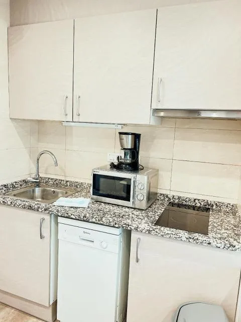  STUDIO LOFT SKI 53 CONFORT - picture  : Kitchen/kitchenette,Kitchen or kitchenette,Property 