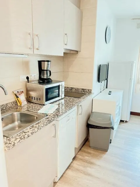  STUDIO LOFT SKI 53 CONFORT - picture  : Kitchen/kitchenette,Kitchen or kitchenette,Property 