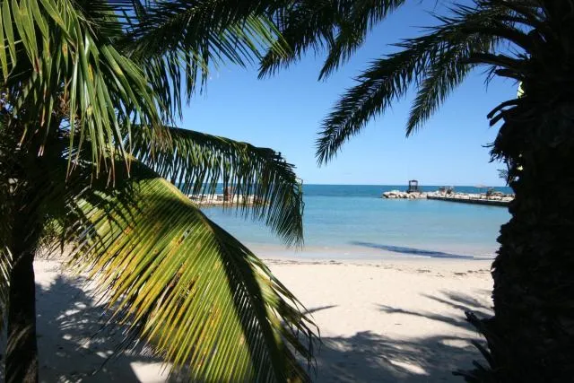  Northshore Seaside Suites - picture  : Beach,Day,Natural landscape,Property 