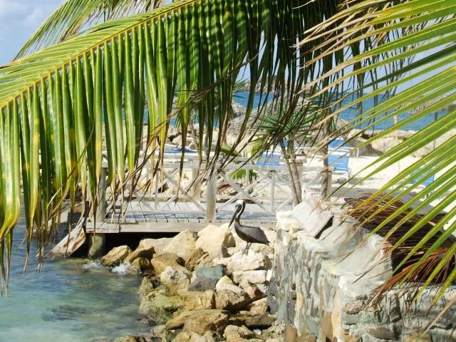  Northshore Seaside Suites - picture  : Beach,Day,Other 